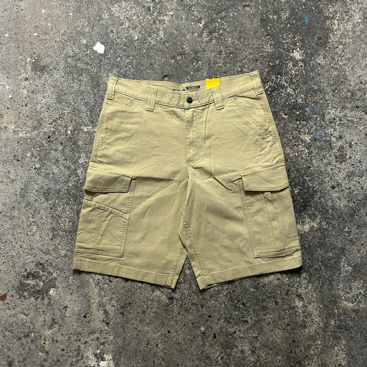 Carhartt Cargo Shorts (33)