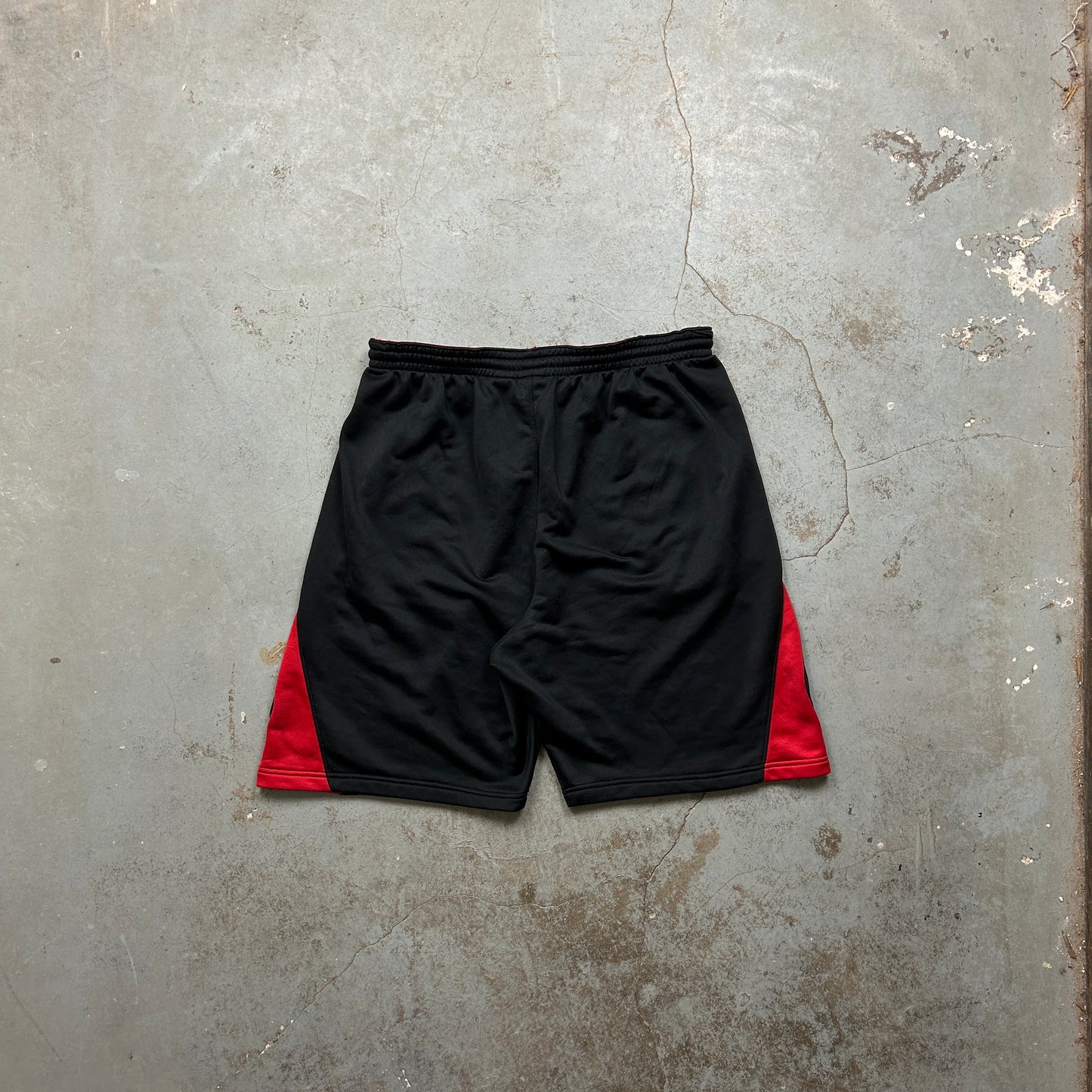 Vintage Nike Shorts (XL)